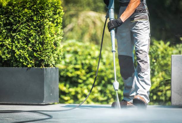 Best Soft Washing  in East Vineland, NJ