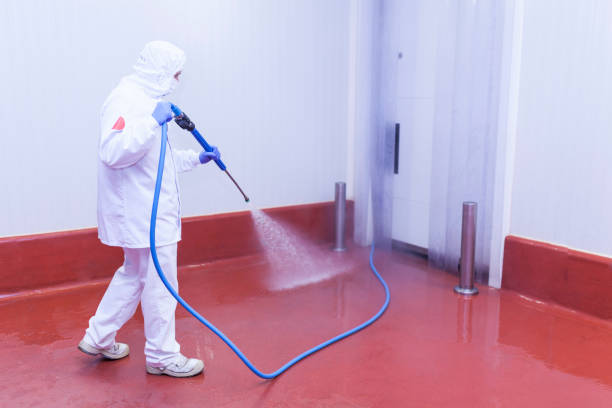 Best Rust Removal  in East Vineland, NJ